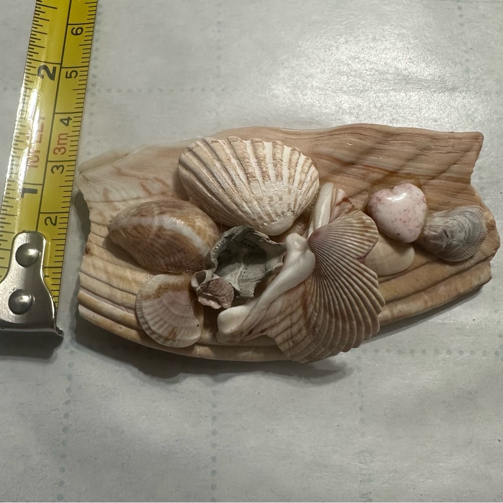 Sea Shell Brooch - Picture 4 of 5